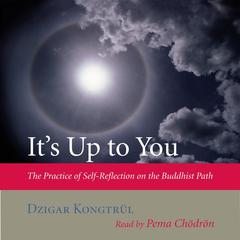 Its Up to You: The Practice of Self-Reflection on the Buddhist Path Audiobook, by Dzigar Kongtrül