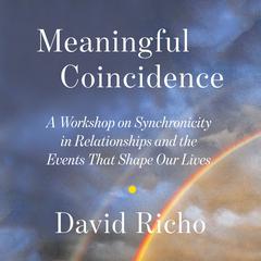 Meaningful Coincidence: A Workshop on Synchronicity in Relationships and the Events That Shape Our Lives Audiobook, by David Richo