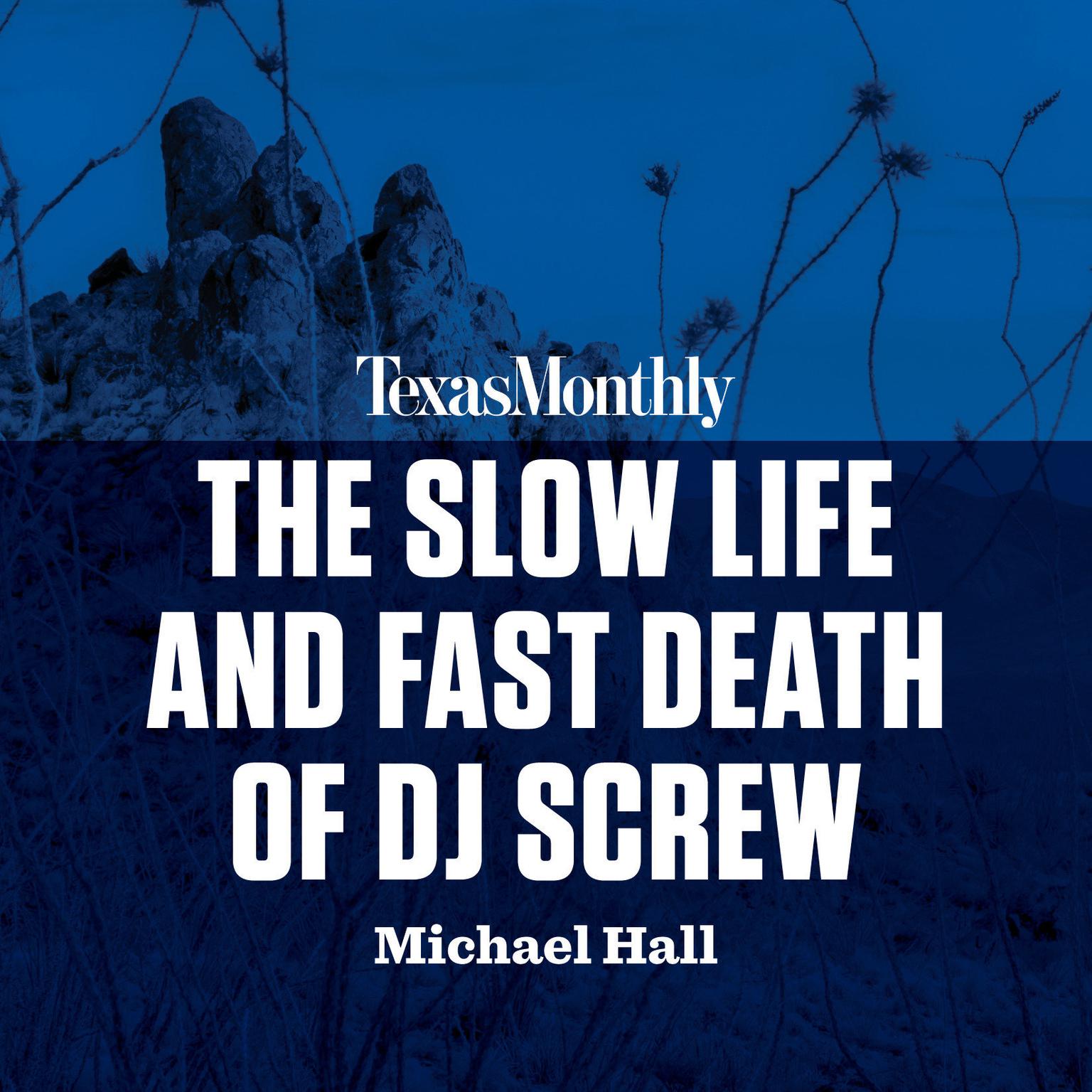 The Slow Life and Fast Death of DJ Screw Audiobook, by Michael Hall