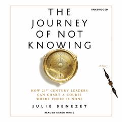 The Journey of Not Knowing: How 21st Century Leaders Can Chart a Course Where There Is None Audiobook, by Julie Benezet