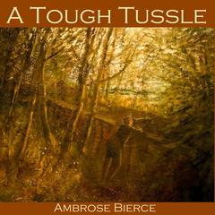 A Tough Tussle Audiobook, by Ambrose Bierce