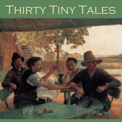 Thirty Tiny Tales Audiobook, by various authors