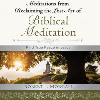 Moments of Reflection: Reclaiming the Lost Art of Biblical Meditation: Find True Peace in Jesus Audiobook, by Robert Morgan