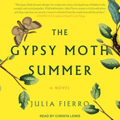 The Gypsy Moth Summer: A Novel Audiobook, by Julia Fierro