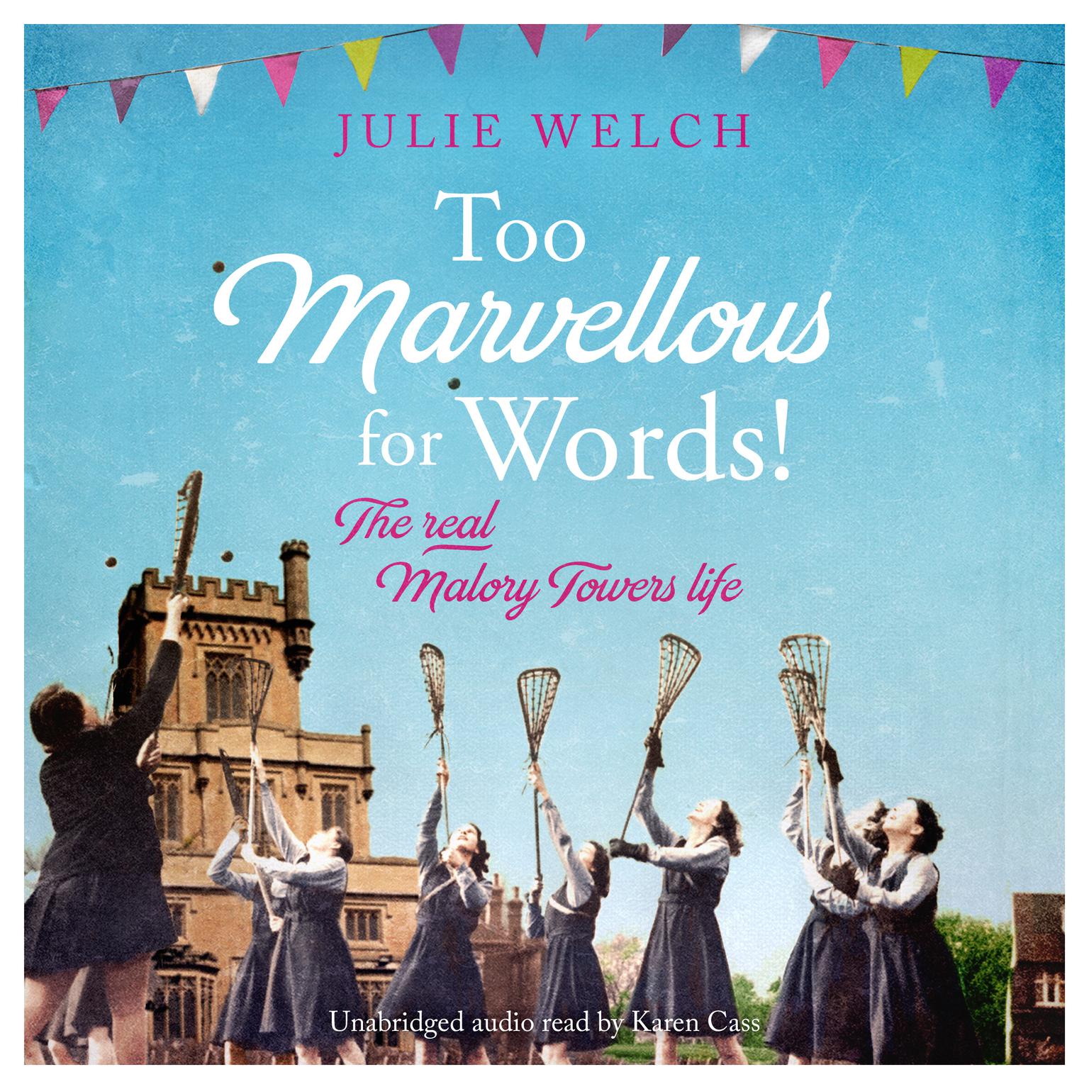 Too Marvellous For Words Audiobook, by Julie Welch