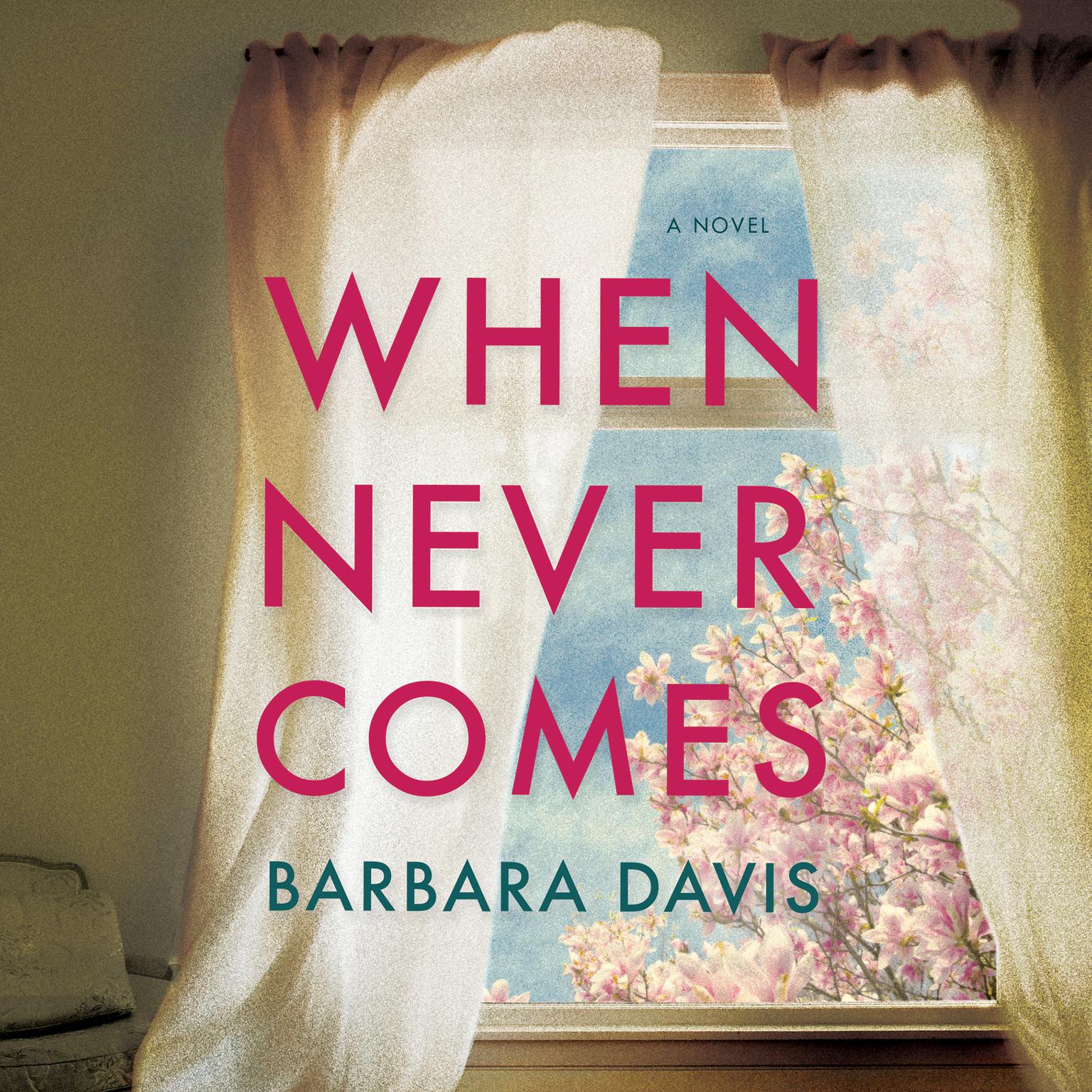 When Never Comes Audiobook, by Barbara Davis