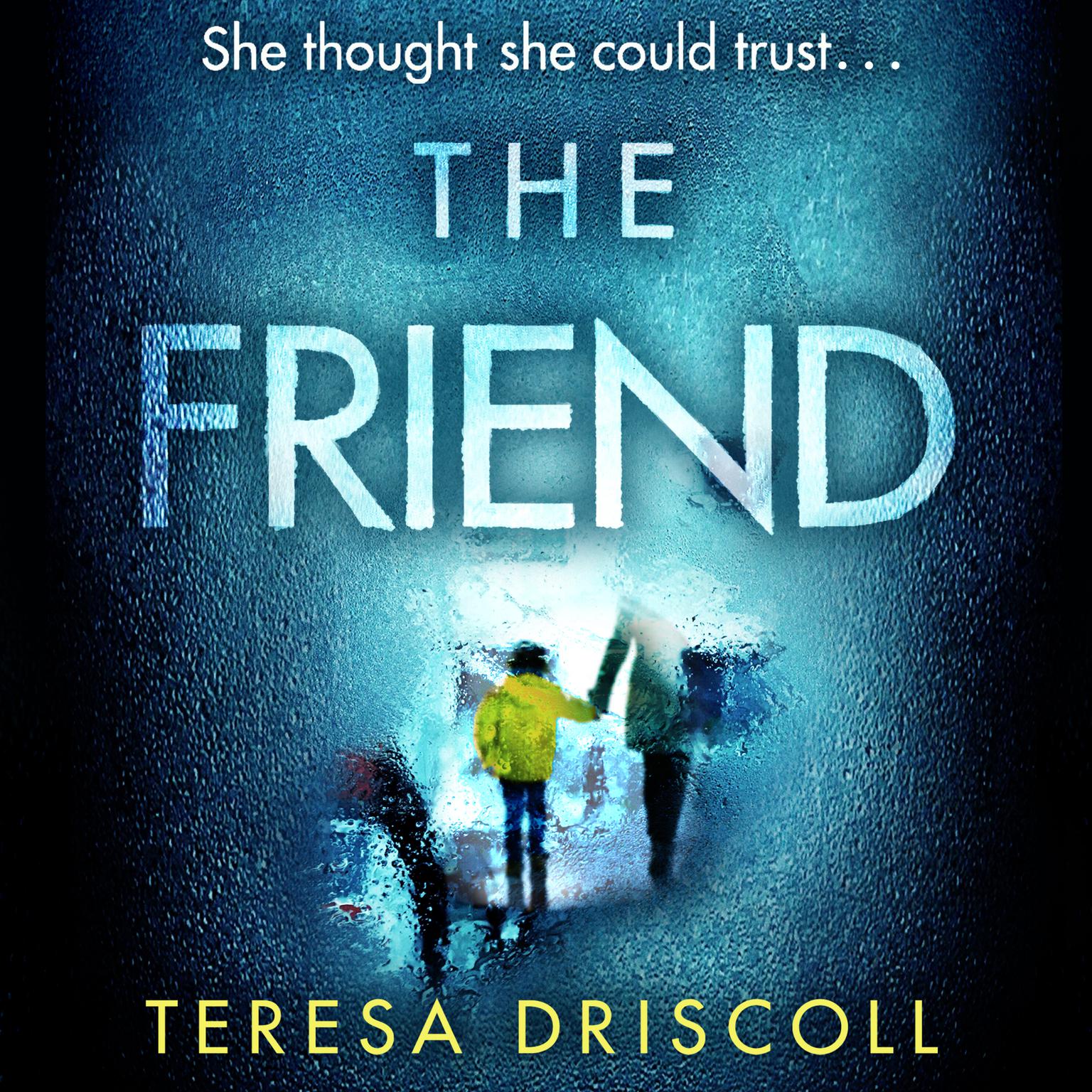 The Friend Audiobook, by Teresa Driscoll