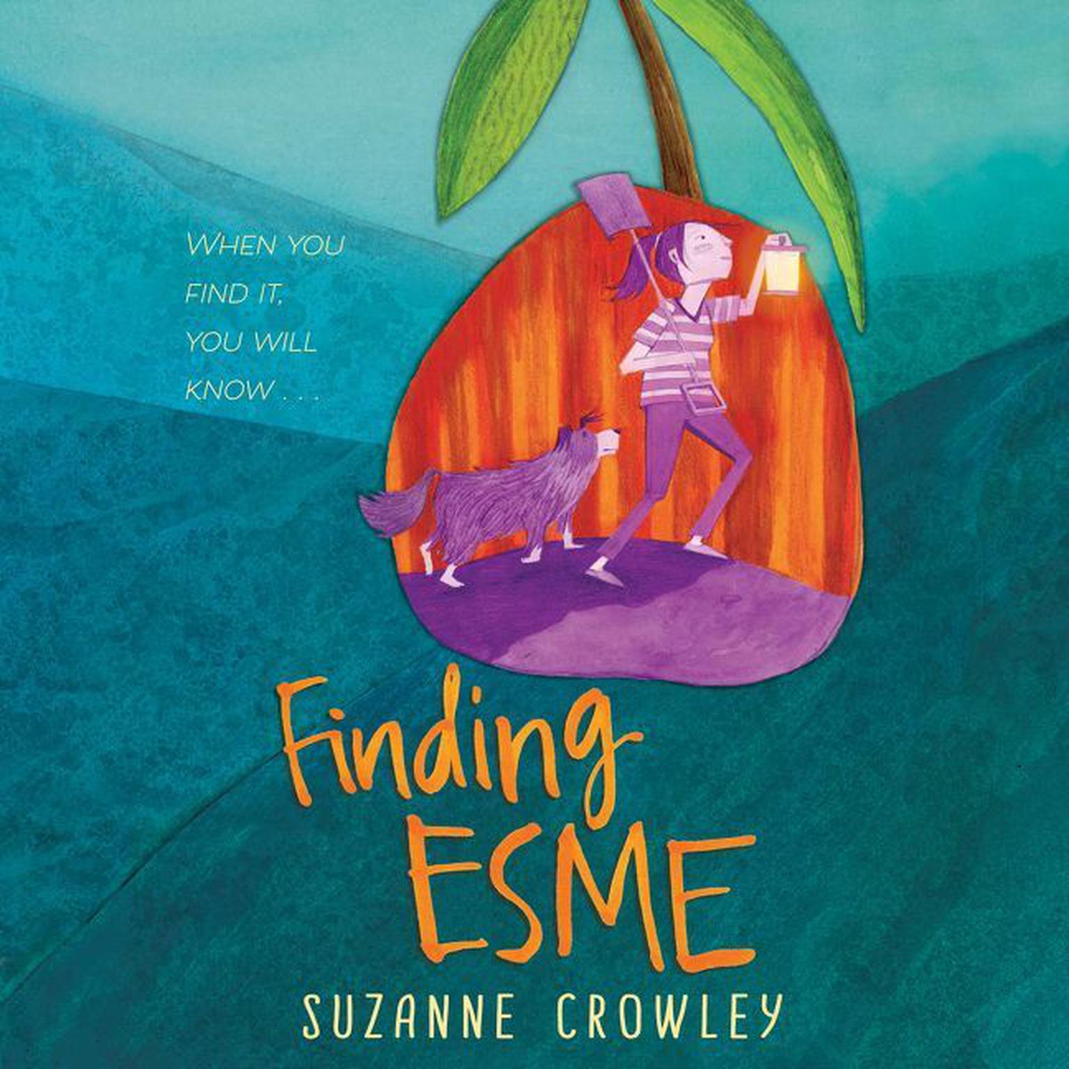 Finding Esme Audiobook, by Suzanne Crowley