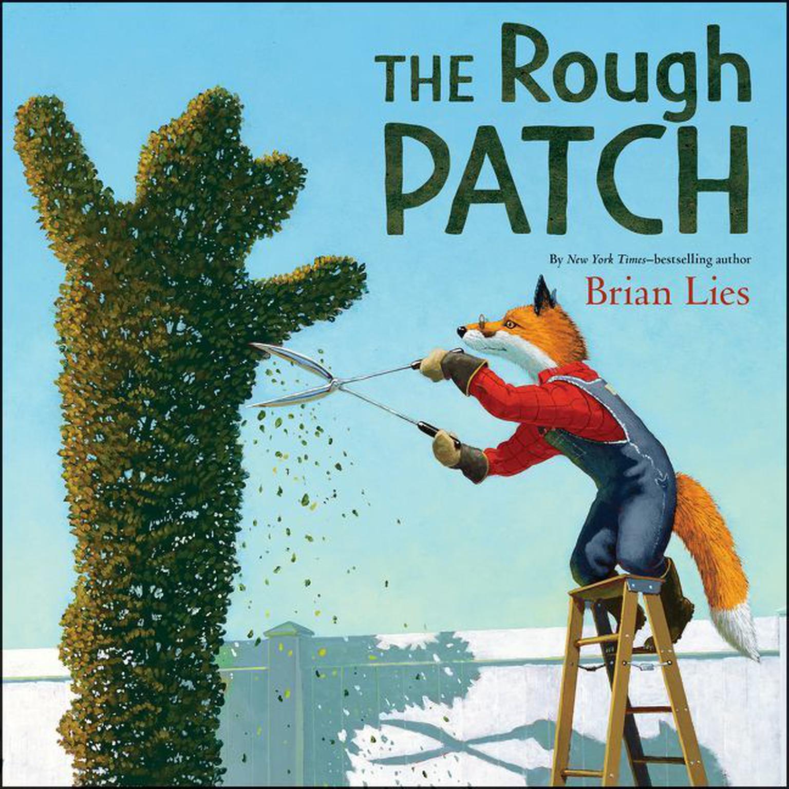 The Rough Patch Audiobook, by Brian Lies