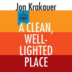 A Clean, Well-Lighted Place Audiobook, by Jon Krakauer