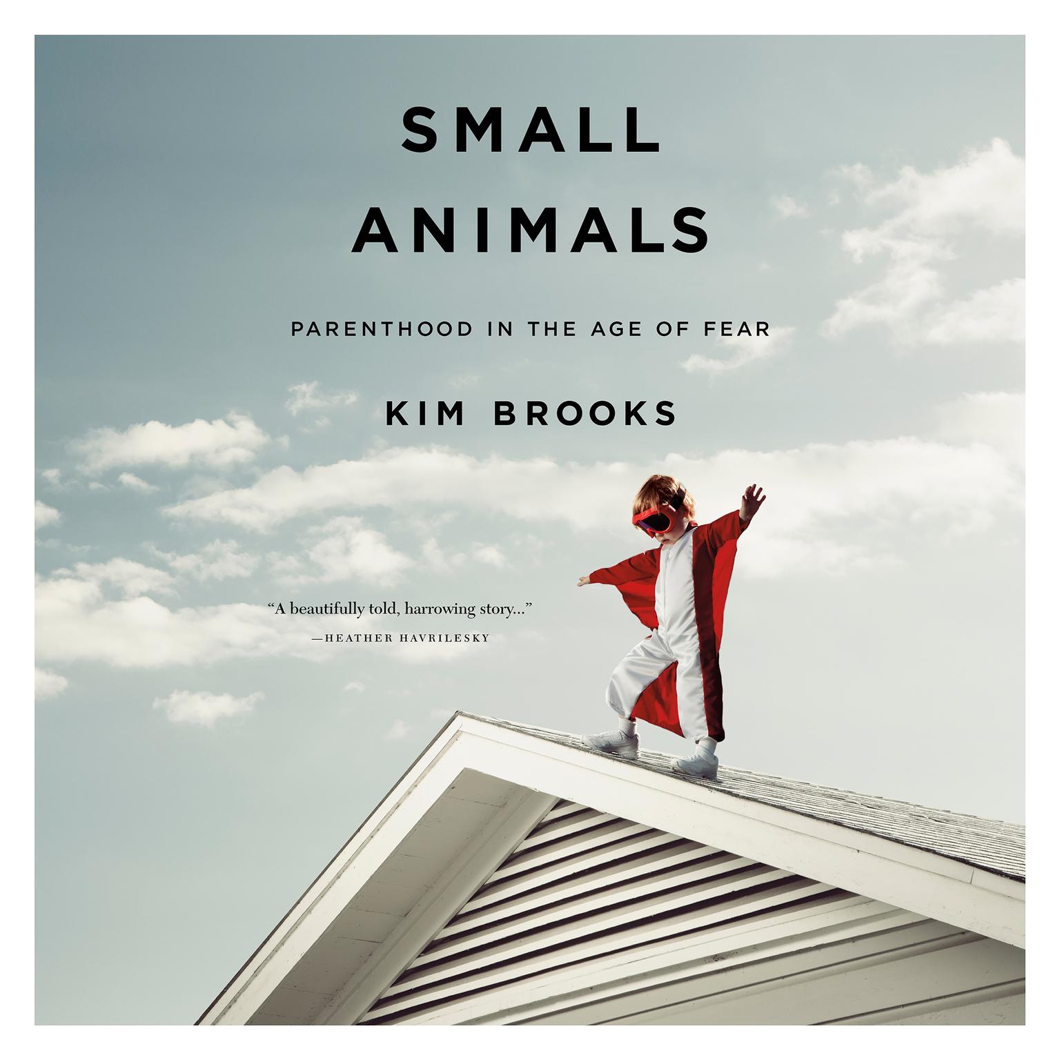 Small Animals: Parenthood in the Age of Fear Audiobook, by Kim Brooks
