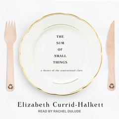 The Sum of Small Things: A Theory of the Aspirational Class Audiobook, by 