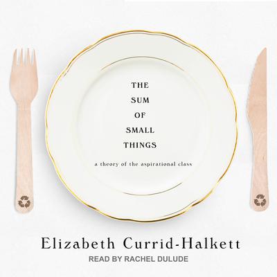 The Sum of Small Things: A Theory of the Aspirational Class Audiobook, by Elizabeth Currid-Halkett