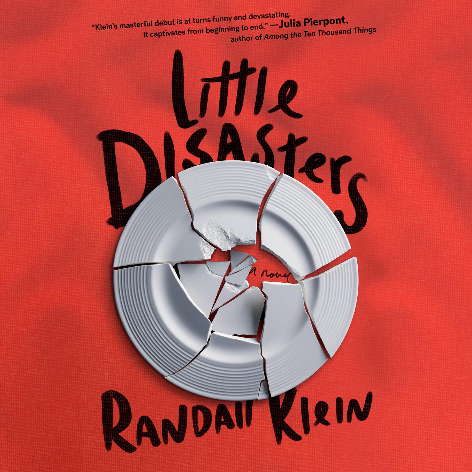 Little Disasters Audiobook, by Randall Klein