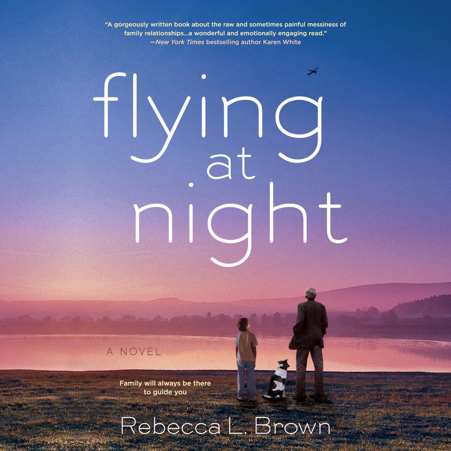 Flying at Night Audiobook, by Rebecca L. Brown