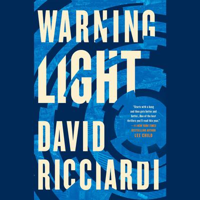 Warning Light Audiobook, by David Ricciardi