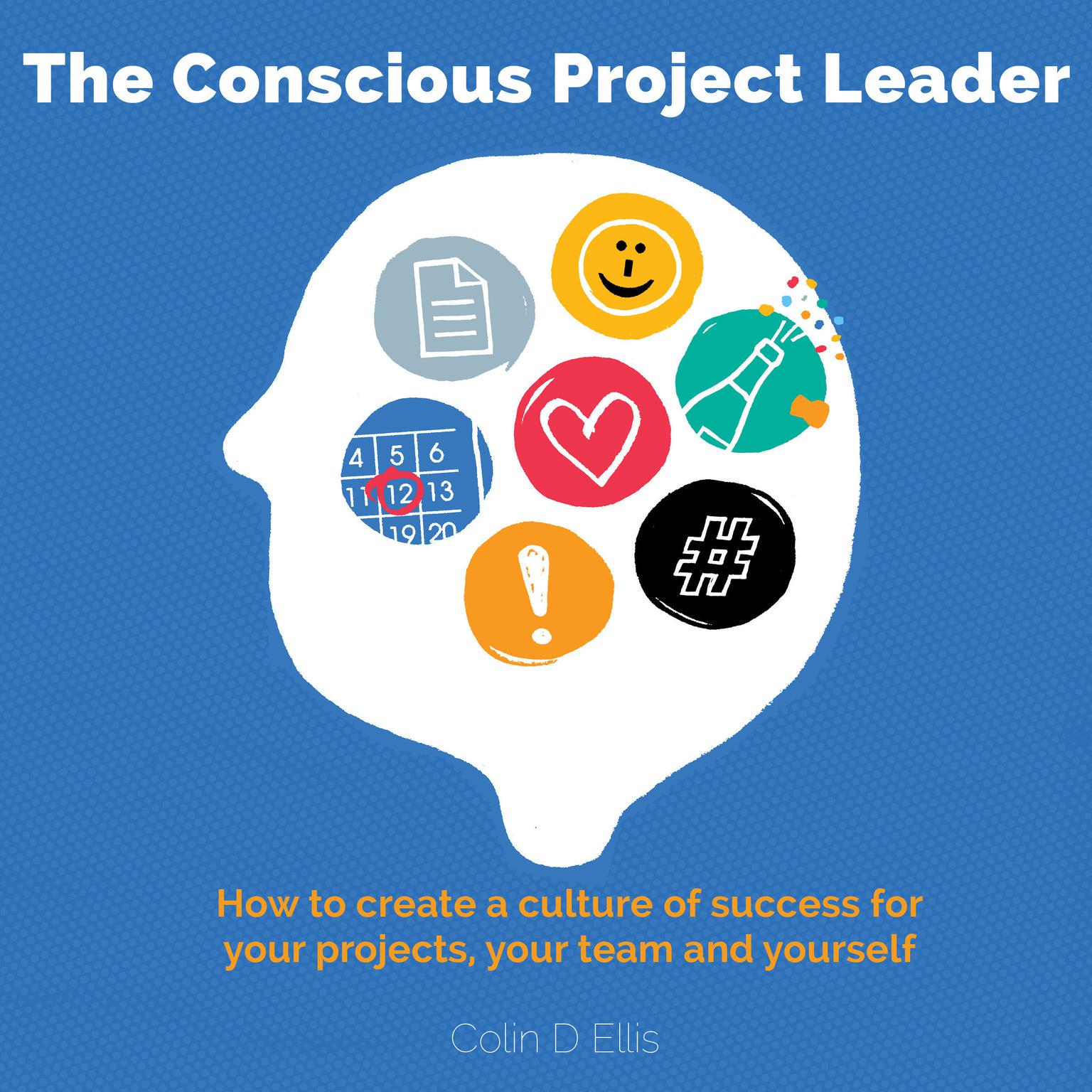 The Conscious Project Leader Audiobook, by Colin D Ellis