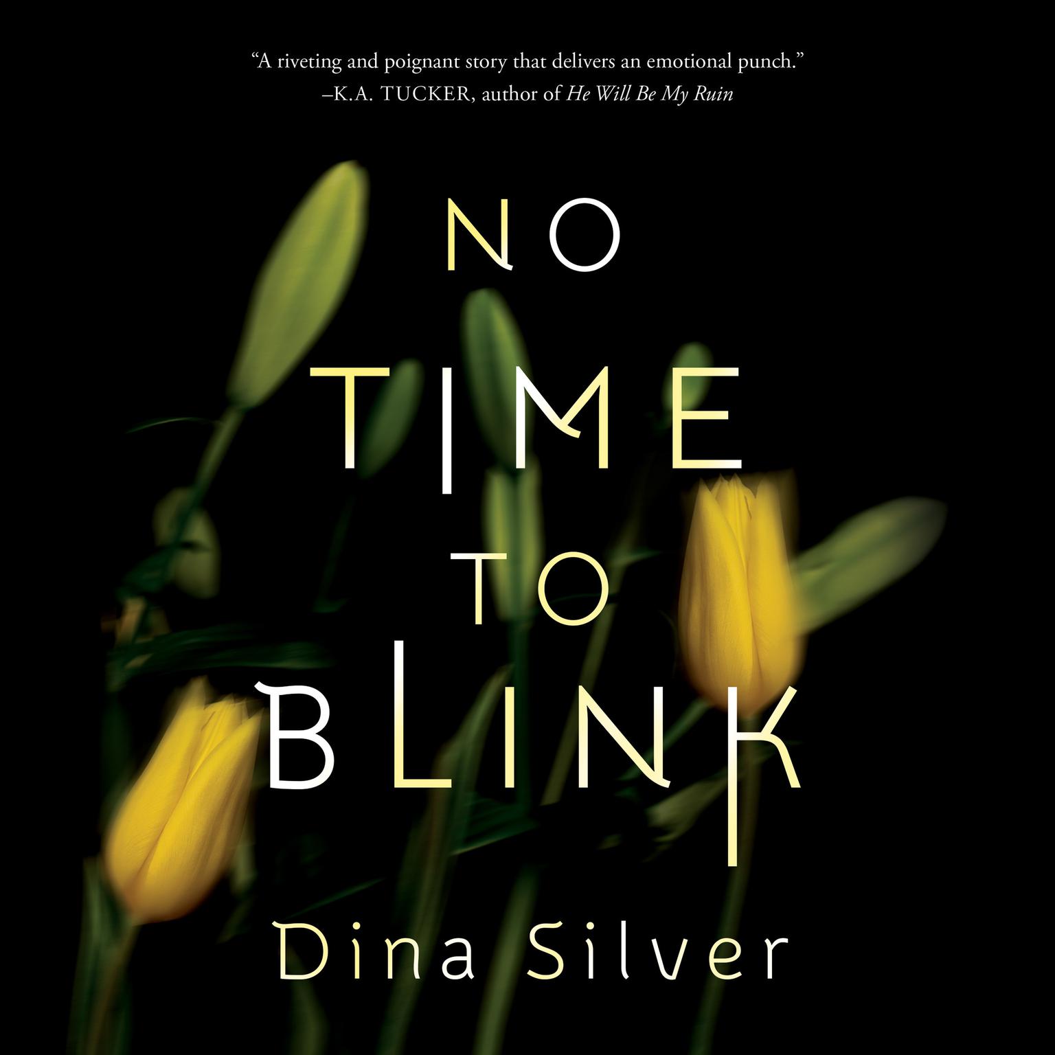 No Time To Blink Audiobook, by Dina Silver