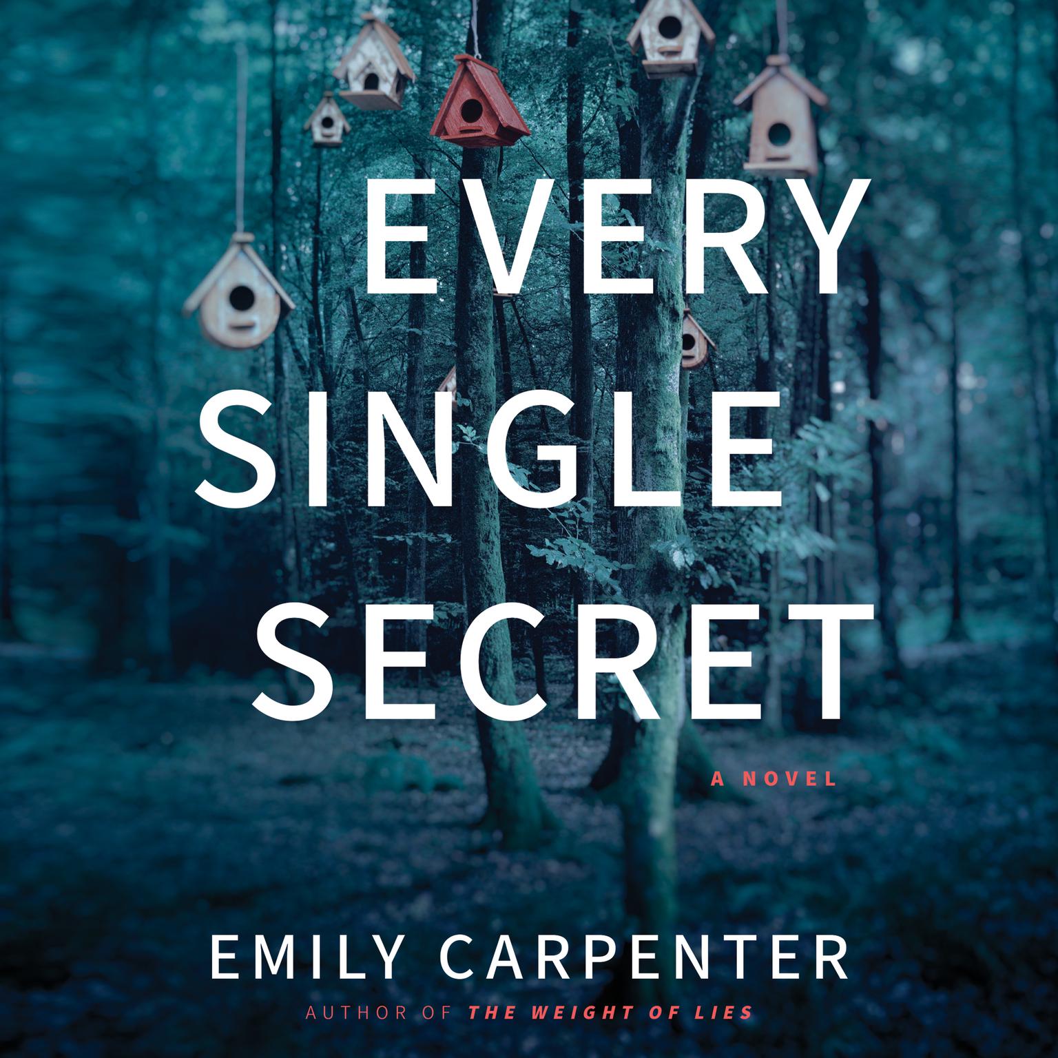 Every Single Secret: A Novel Audiobook, by Emily Carpenter