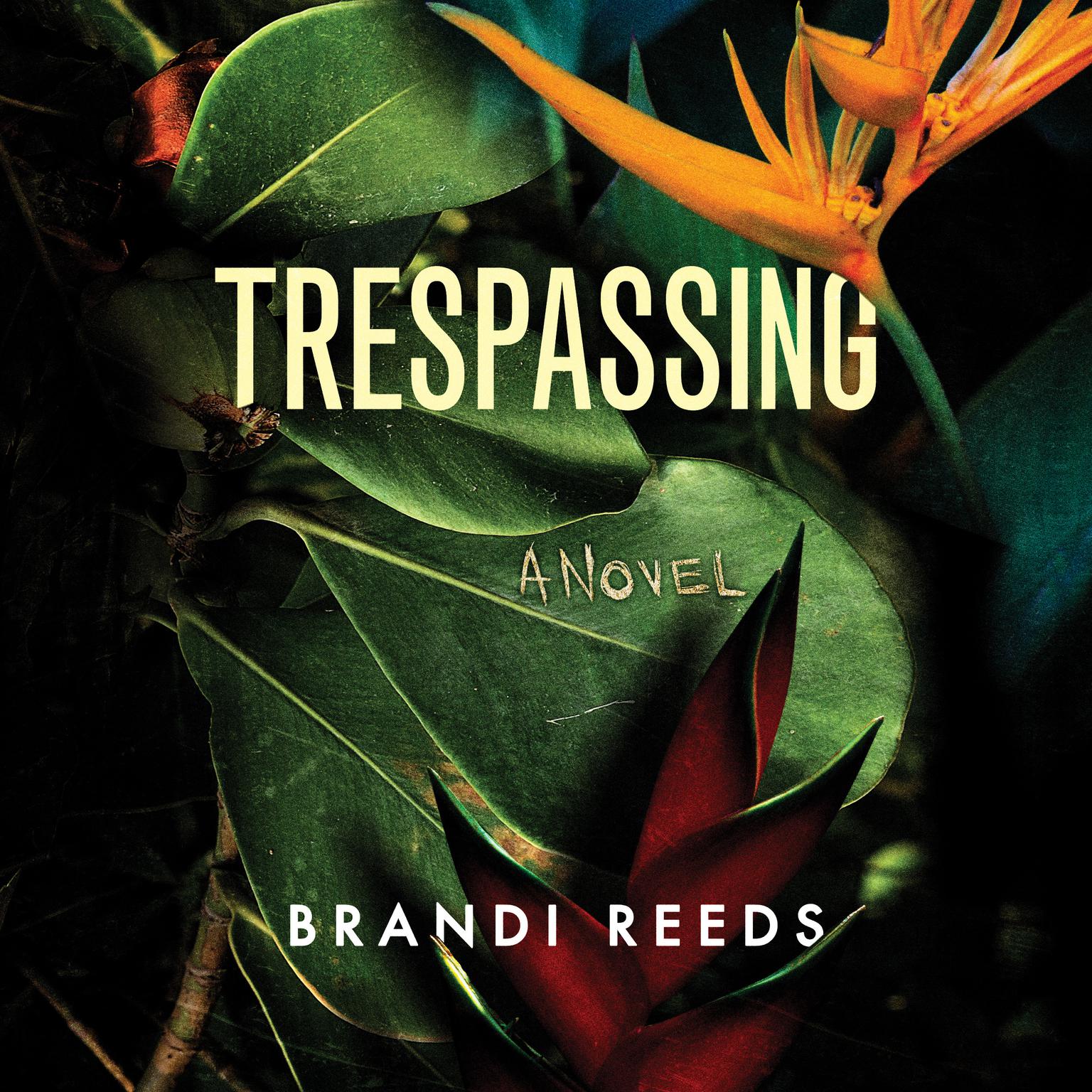 Trespassing: A Novel Audiobook, by Brandi Reeds