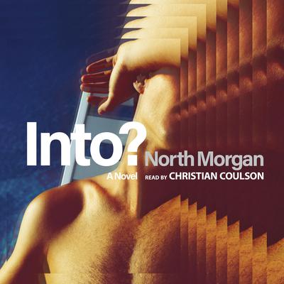 Into?: A Novel Audiobook, by North Morgan