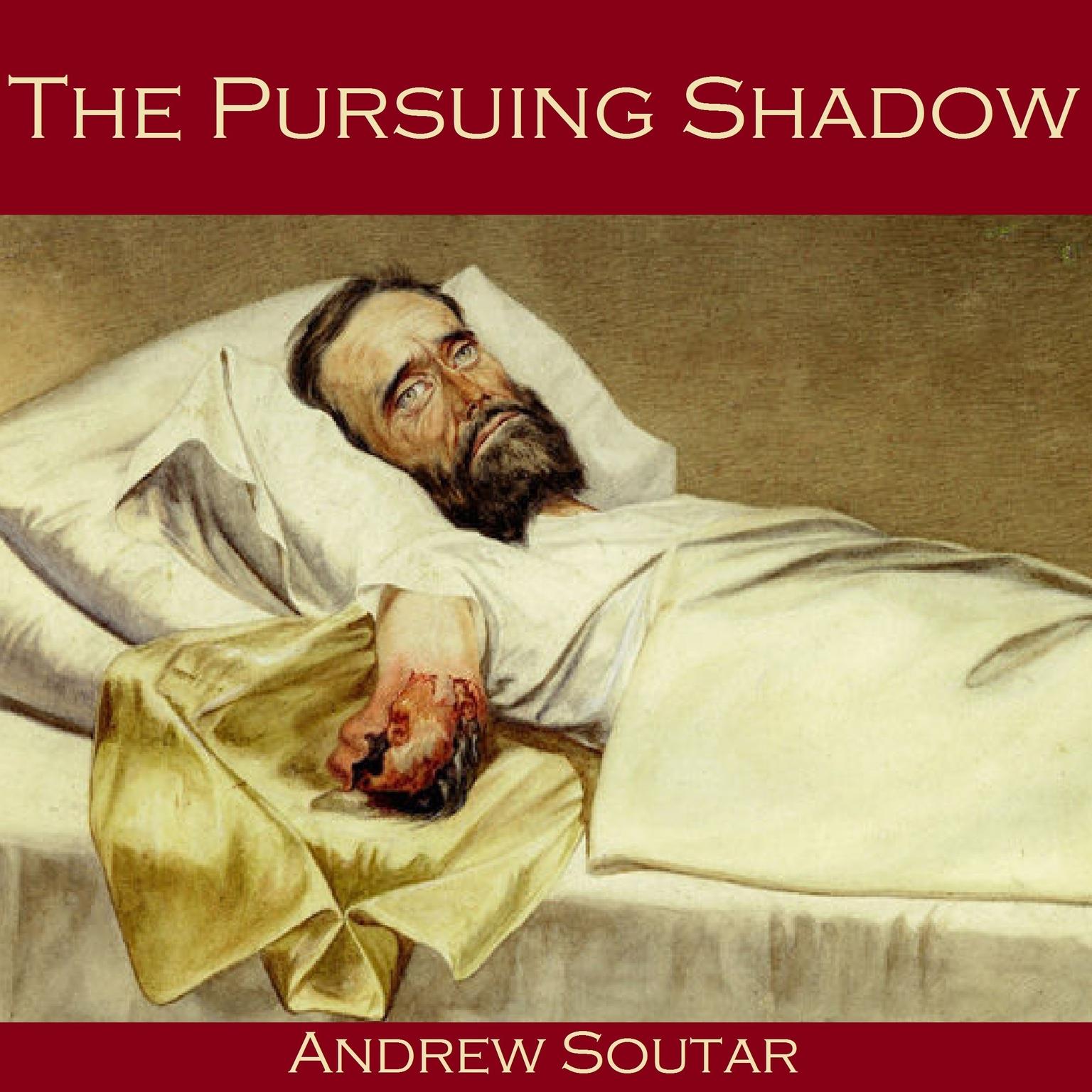 The Pursuing Shadow Audiobook, by Andrew Soutar