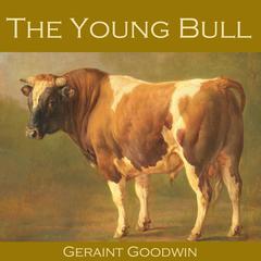 The Young Bull Audiobook, by Geraint Goodwin