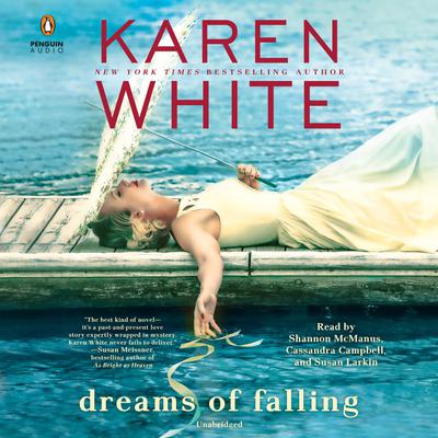 Dreams of Falling Audiobook, by 