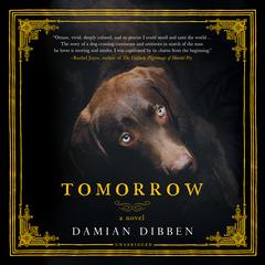 Tomorrow Audiobook, by Damian Dibben
