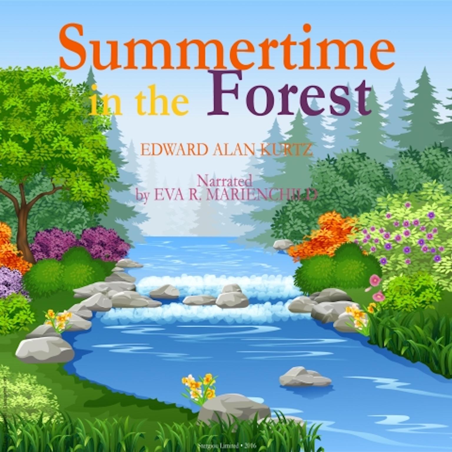 Summertime in the Forest Audiobook, by Edward Alan Kurtz