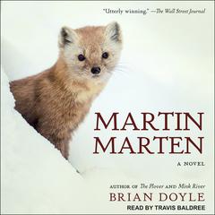 Martin Marten: A Novel Audiobook, by Brian Doyle