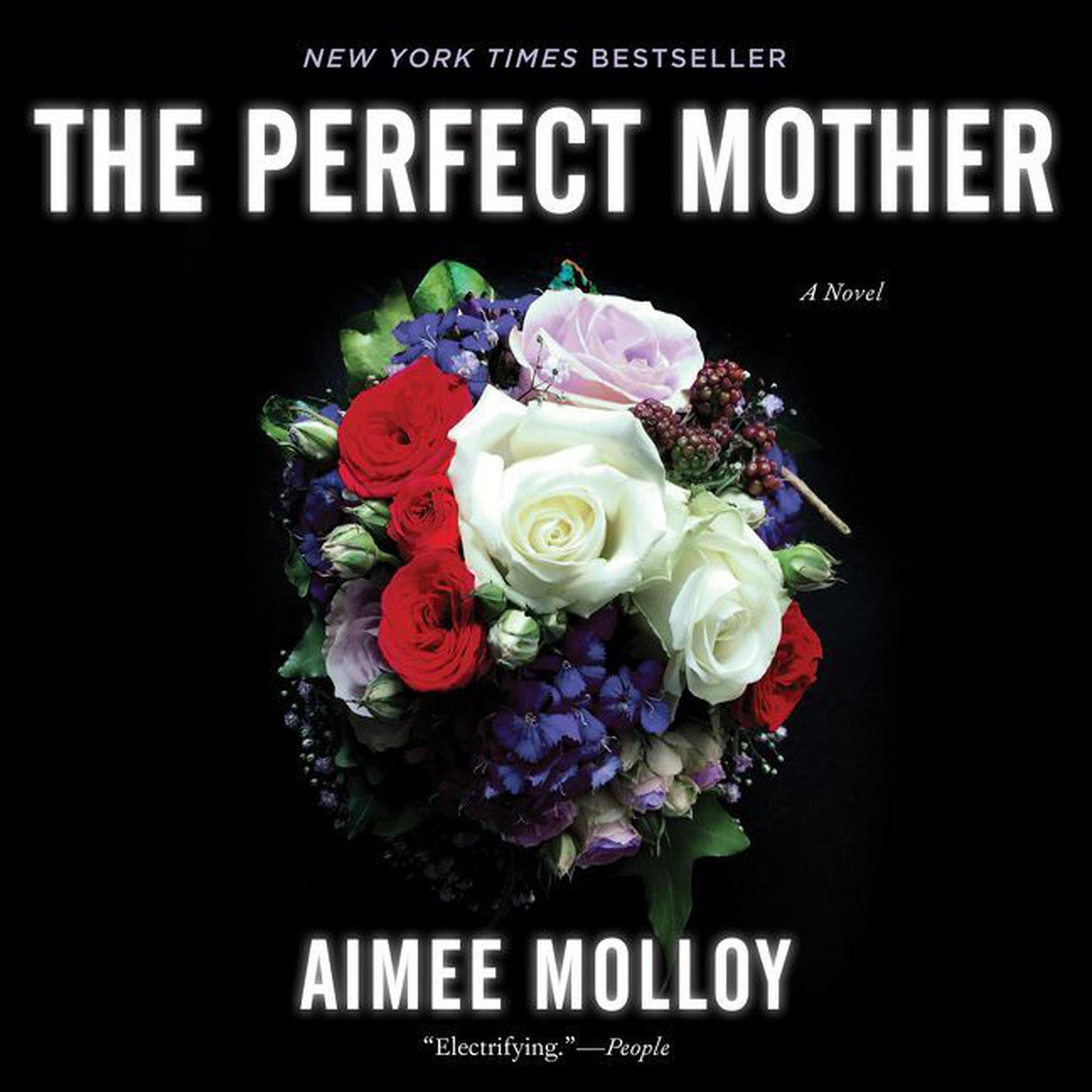 The Perfect Mother: A Novel Audiobook, by Aimee Molloy