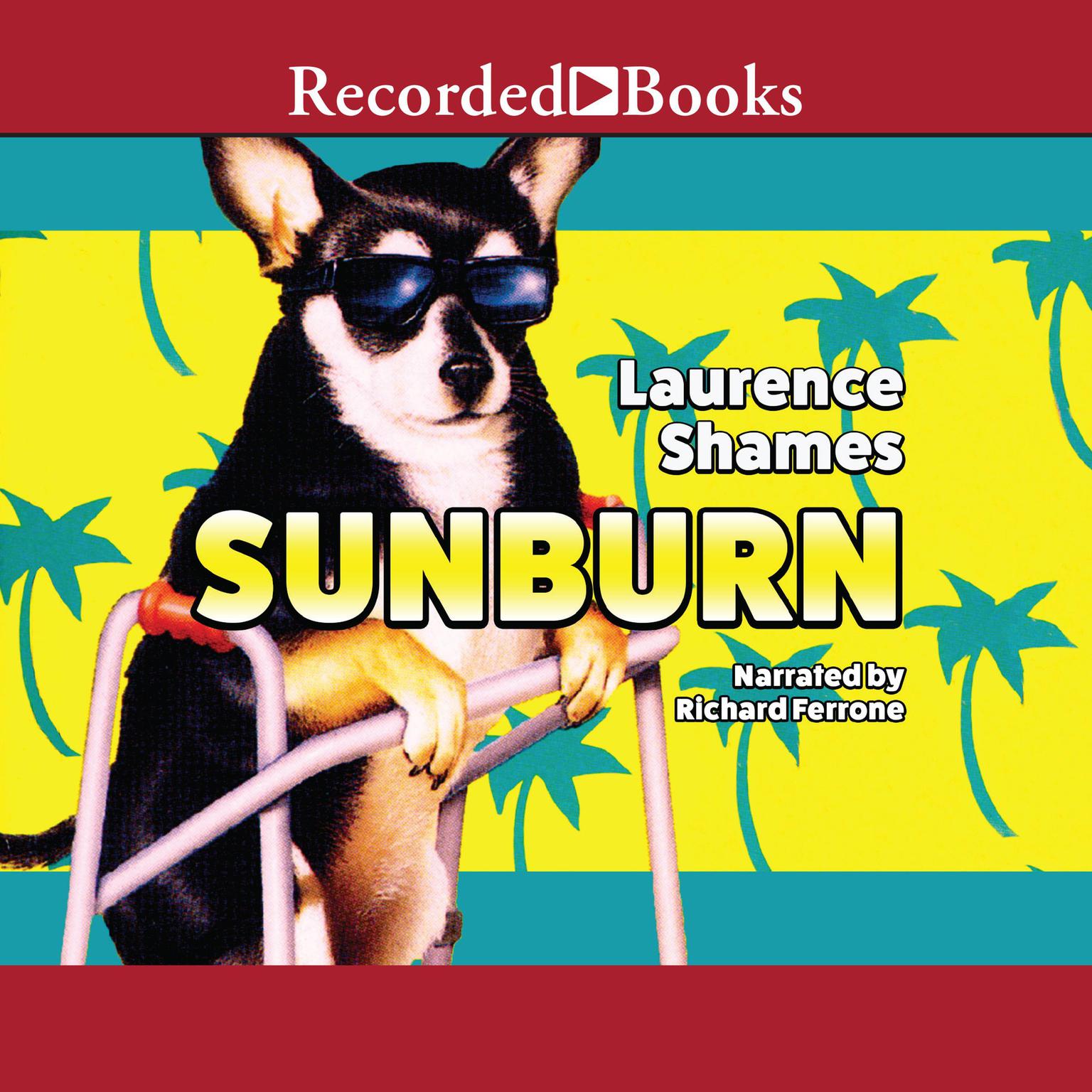 Sunburn Audiobook, by Laurence Shames