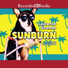 Sunburn Audiobook, by 