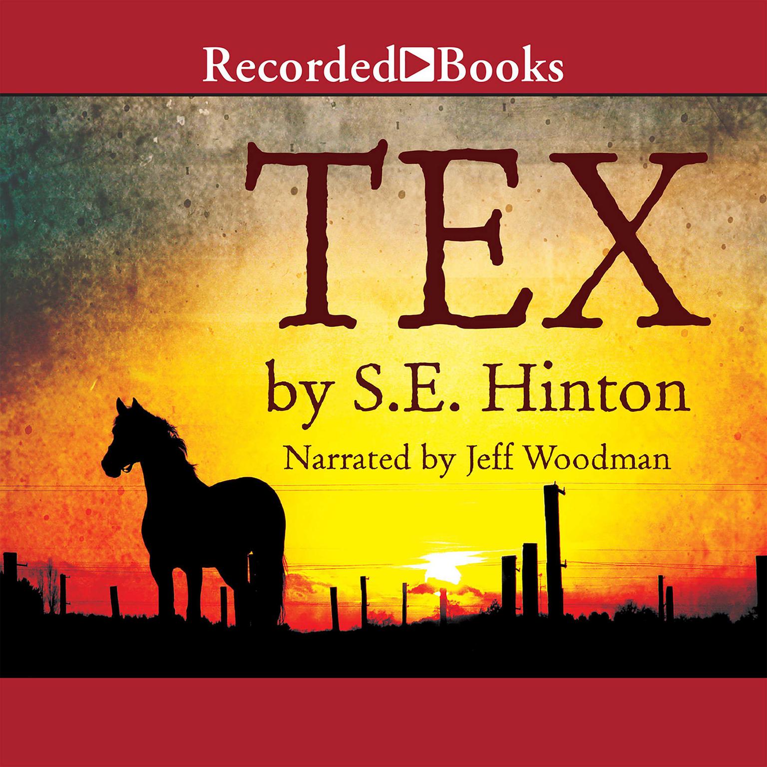 Tex Audiobook, by S. E. Hinton