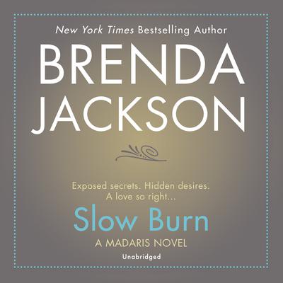 Slow Burn Audiobook, by Brenda Jackson