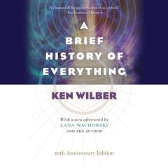 A Brief History of Everything Audiobook, by 
