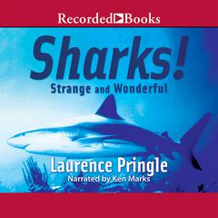 Sharks! Strange and Wonderful:  Strange and Wonderful Audiobook, by Laurence Pringle