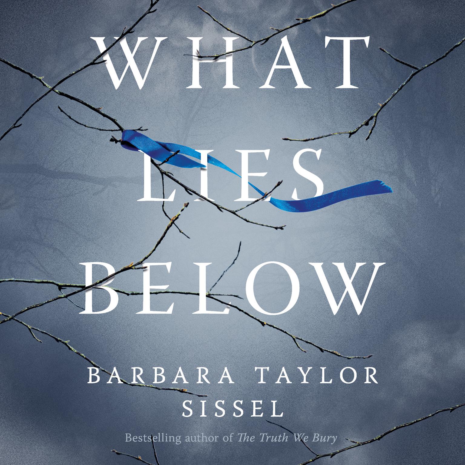 What Lies Below: A Novel Audiobook, by Barbara Taylor Sissel