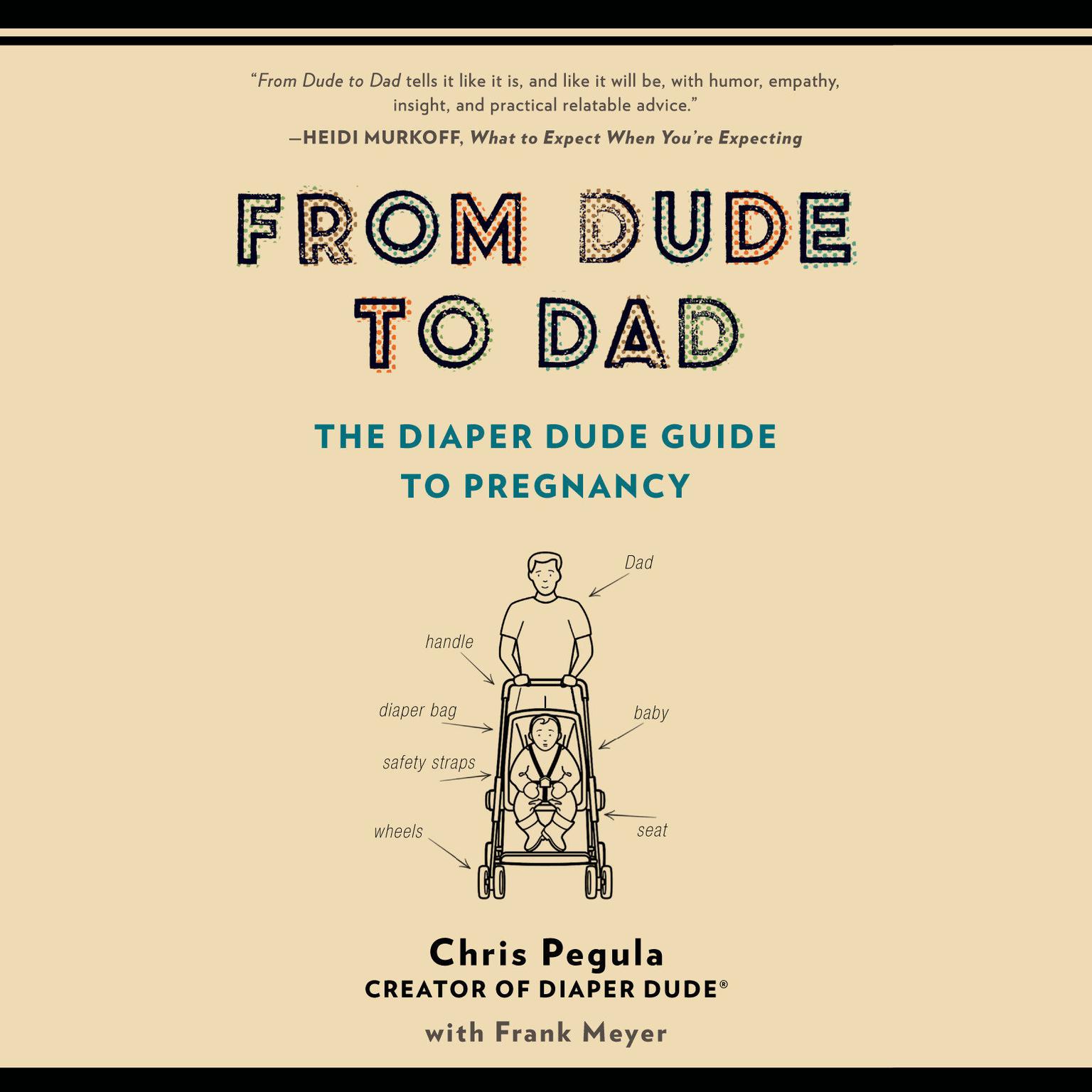 From Dude to Dad: The Diaper Dude Guide to Pregnancy Audiobook, by Chris Pegula