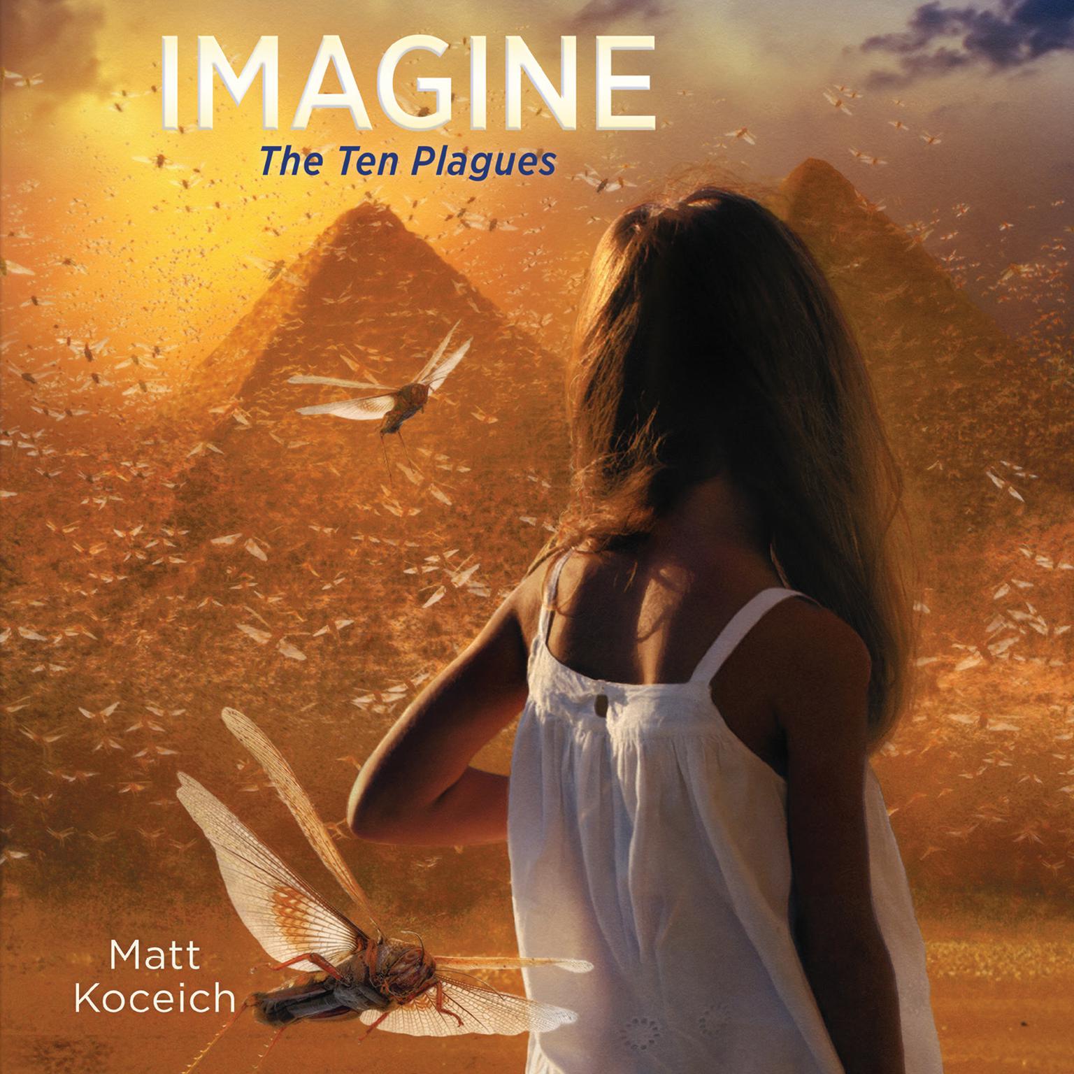 Imagine...The Ten Plagues Audiobook, by Matt Koceich