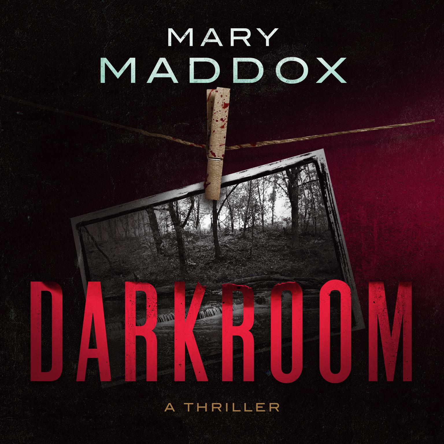 Darkroom Audiobook, by Mary Maddox