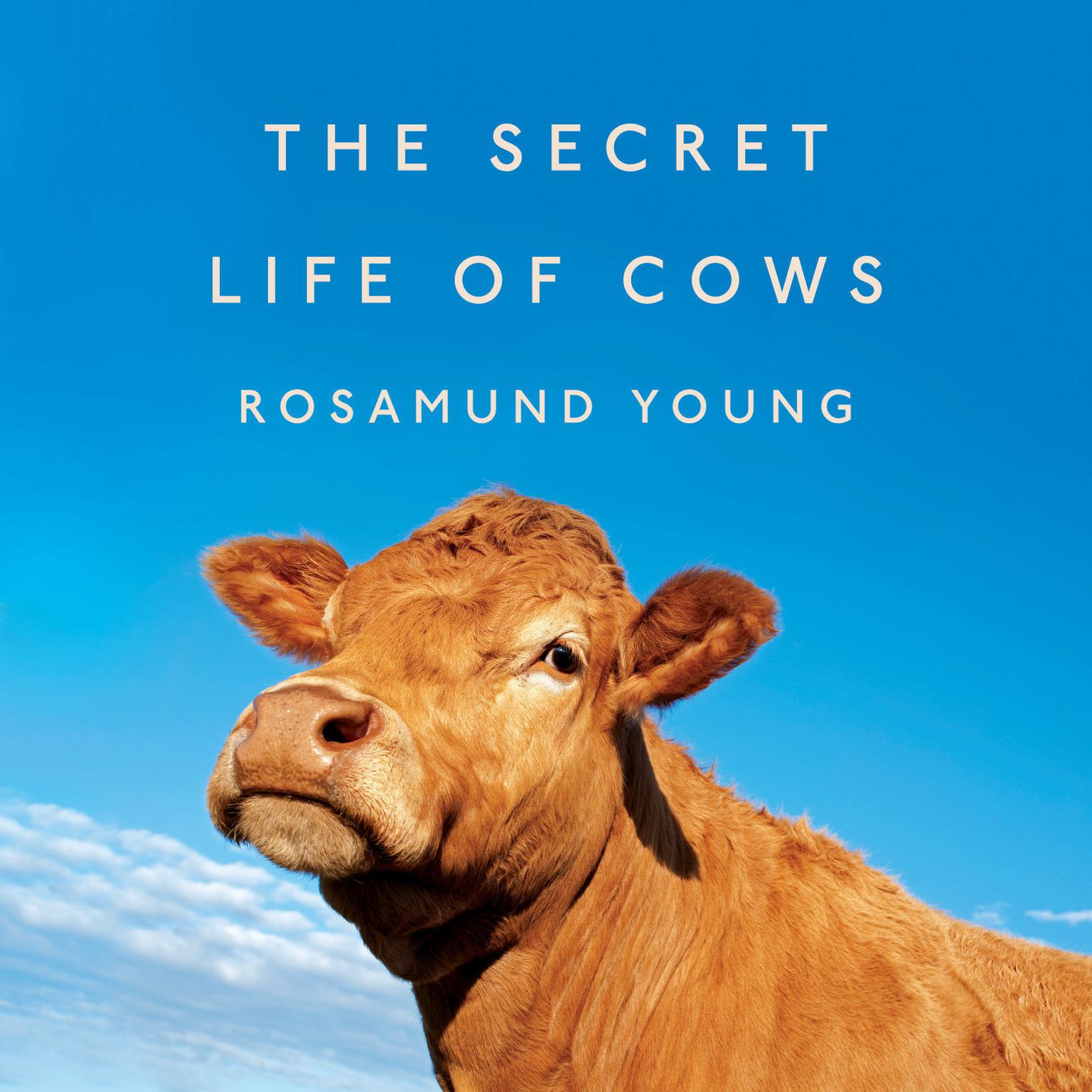 The Secret Life of Cows Audiobook, by Rosamund Young