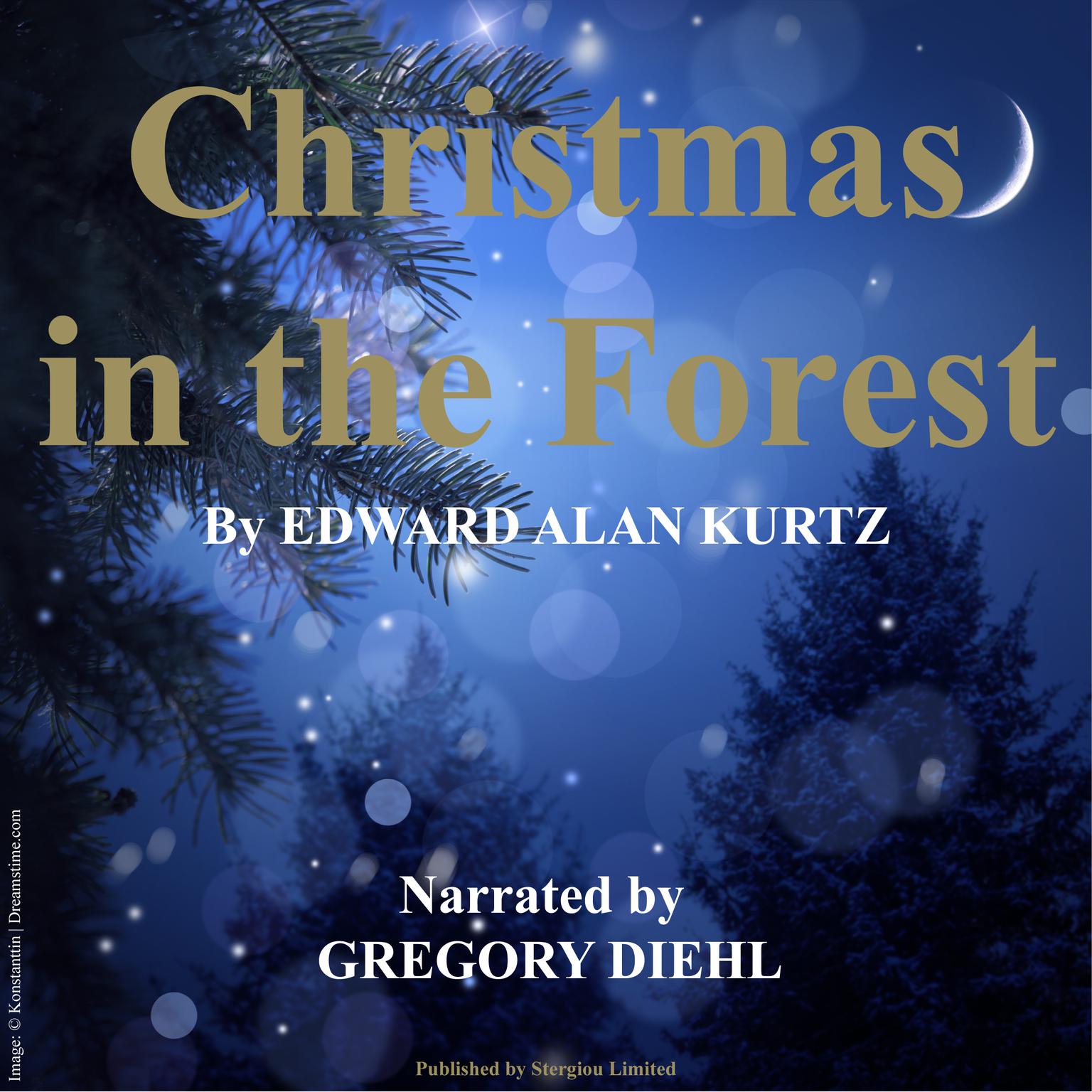 Christmas in the Forest Audiobook, by Edward Alan Kurtz