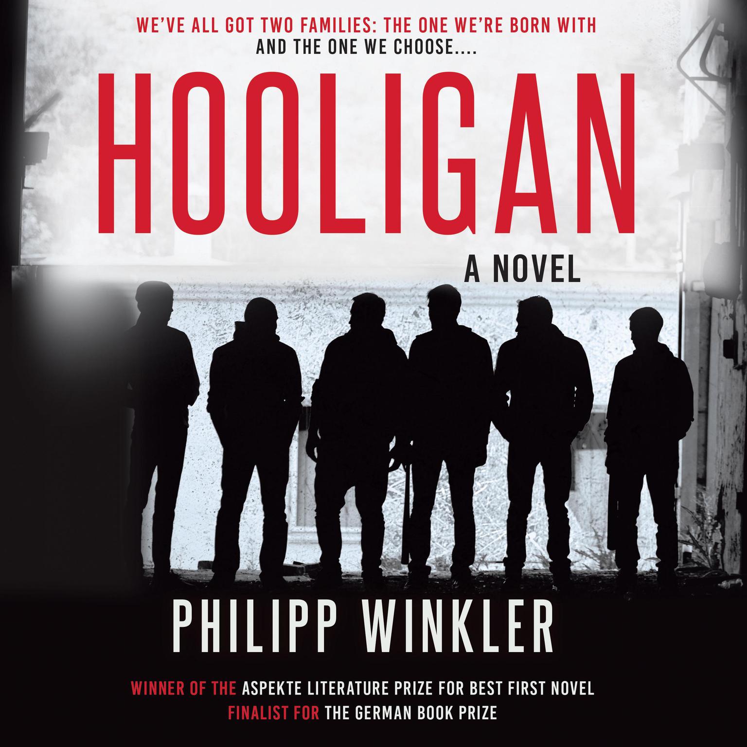 Hooligan: A Novel Audiobook, by Philipp Winkler