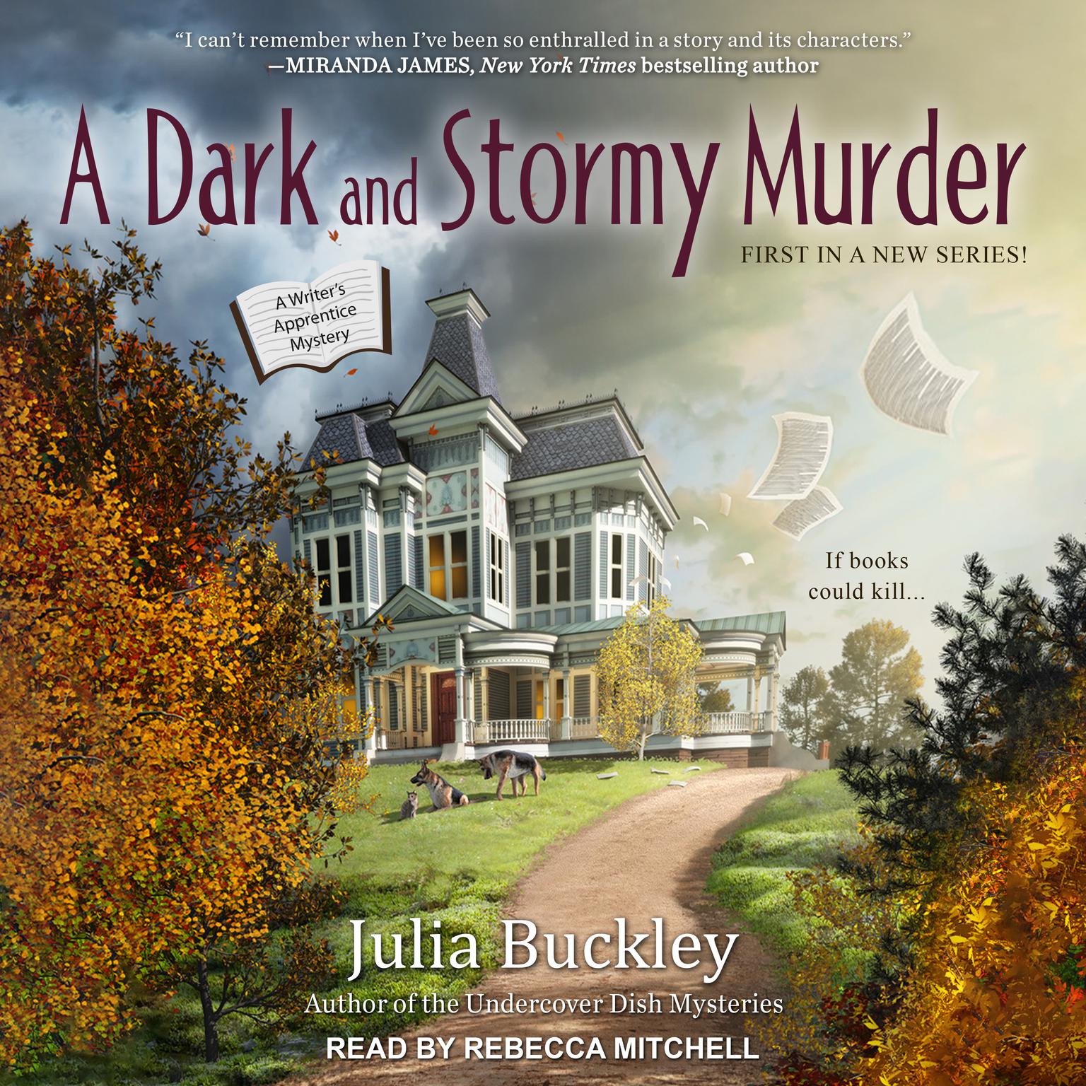 A Dark and Stormy Murder Audiobook, by Julia Buckley