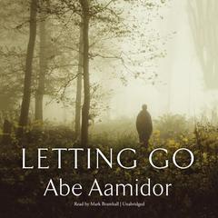 Letting Go Audiobook, by Abe Aamidor