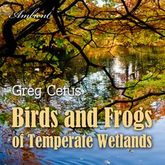 Birds and Frogs of Temperate Wetlands: Atmospheric Audio for Productivity and Focus Audiobook, by Greg Cetus