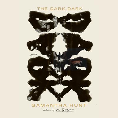 The Dark Dark: Stories Audiobook, by Samantha Hunt