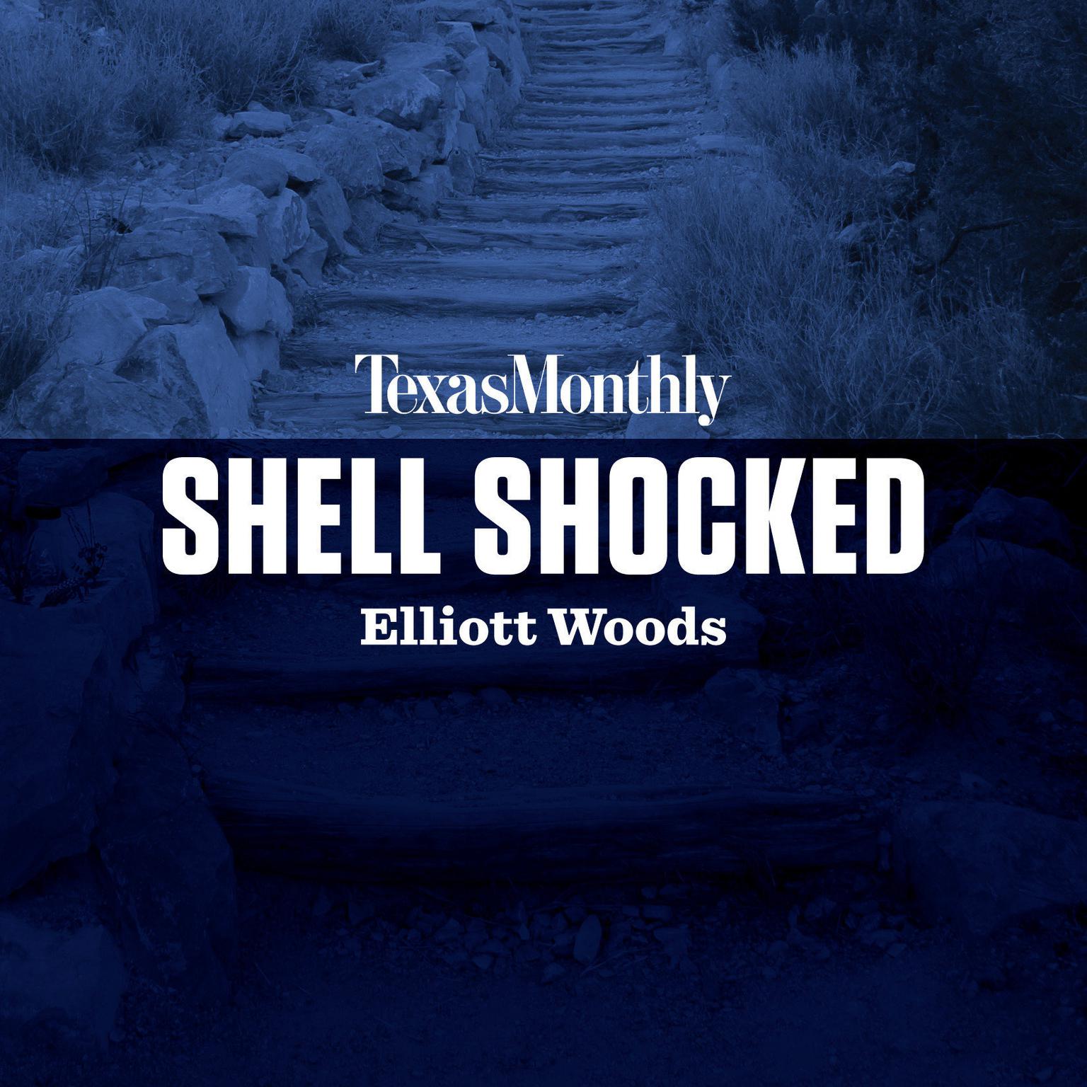 Shell Shocked Audiobook, by Elliott Woods